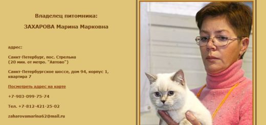 Непорядочный заводчик кошек Марина Захарова